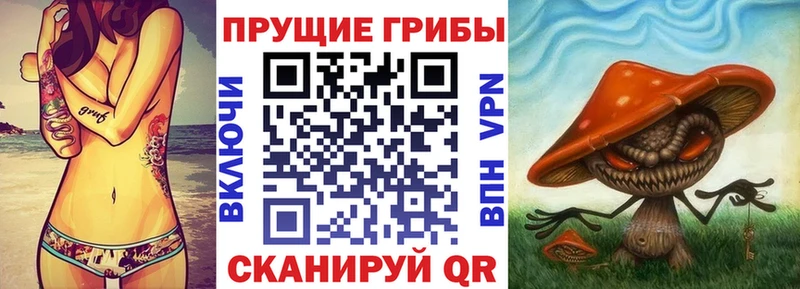 купить закладку  Торопец  Галлюциногенные грибы Magic Shrooms 